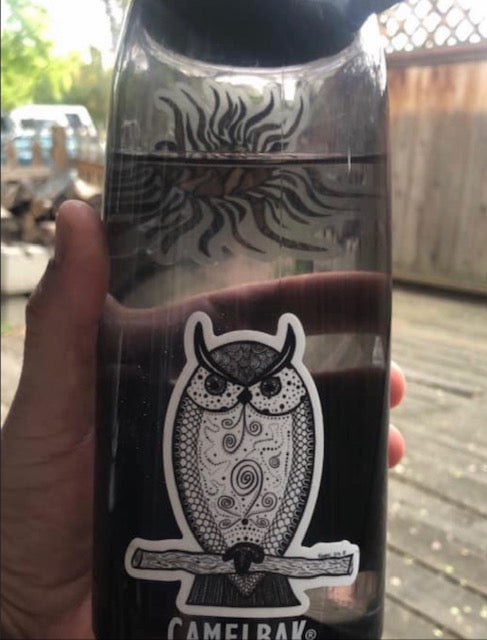 Owl Pack of 50 (Wholesale Price)