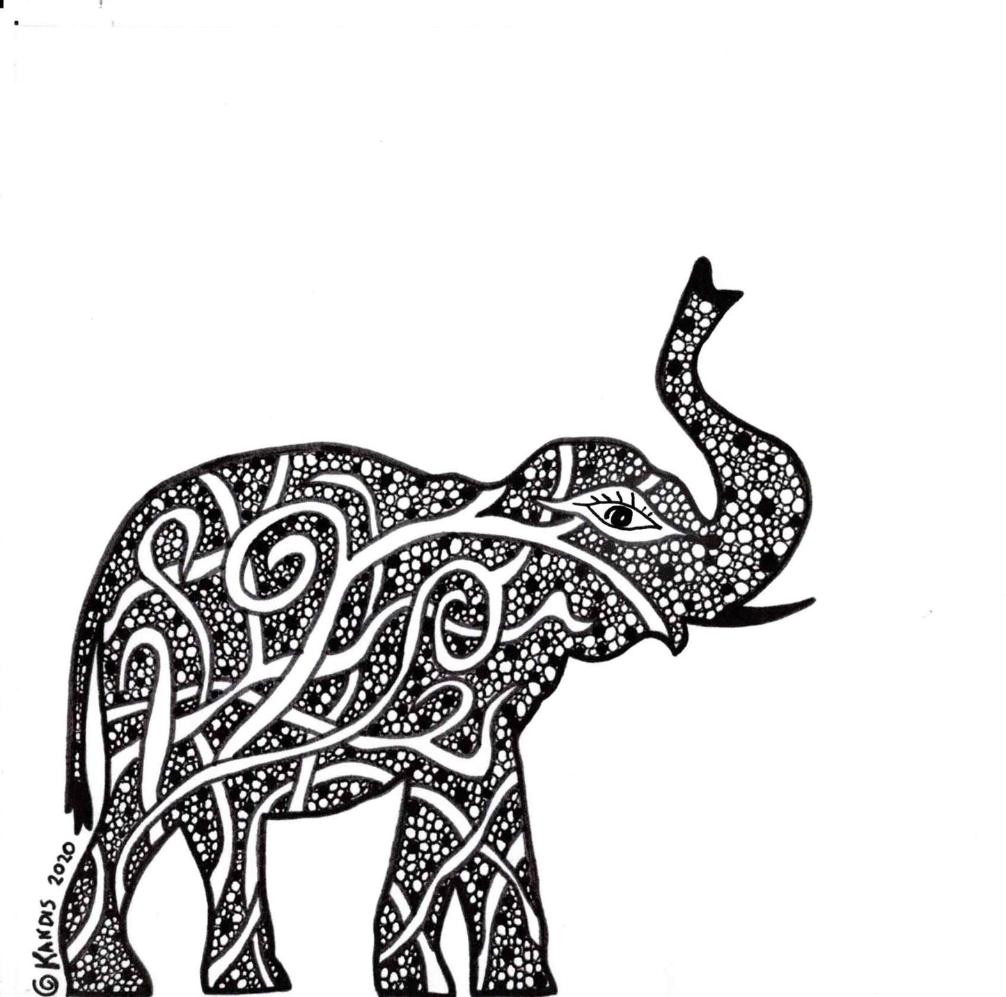 Elephant