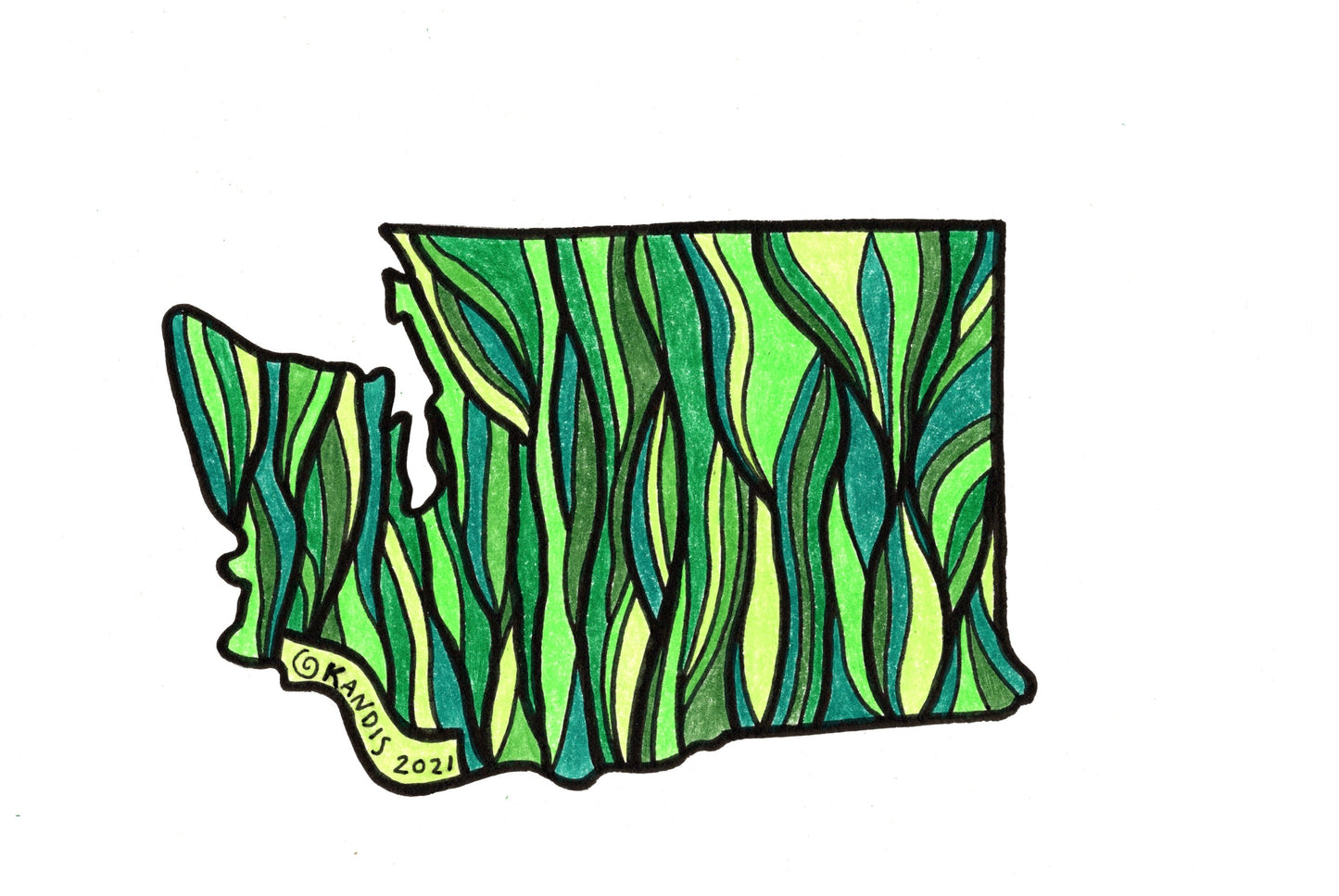 Evergreen Washington