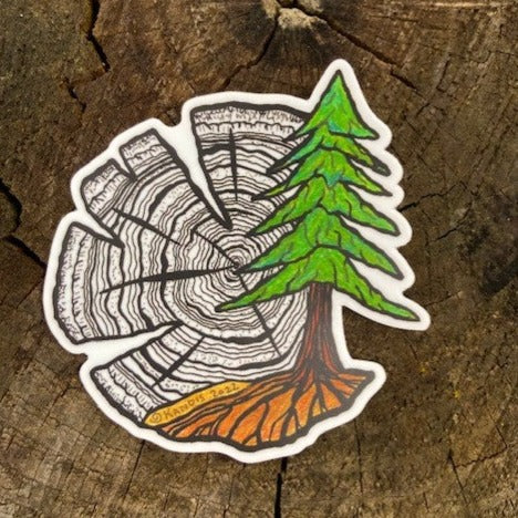Starter Bundle of 20 Stickers for Large Display - Pack of 10 (Wholesale Price)